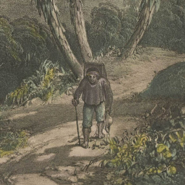 Vista De Jalapa