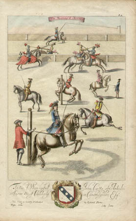 The Manag'd Horse