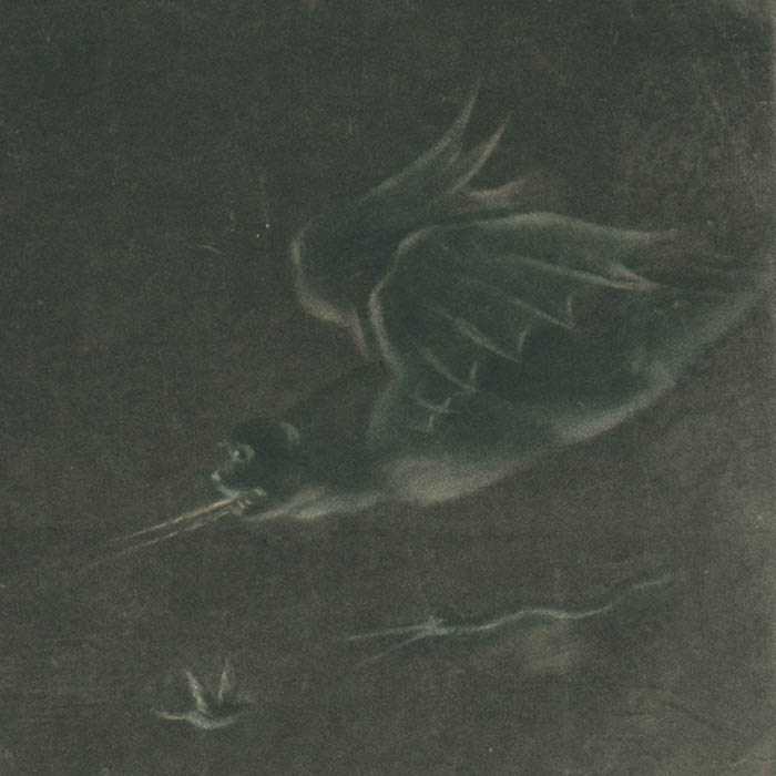 Detail, Philosopher Laughing at Magick