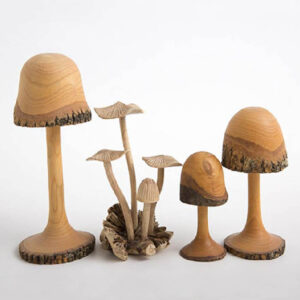 Mushroom Sculptures
