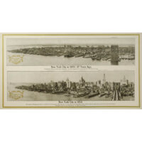 New York City in 1876 and 1913 — Dioxogen Promotional Poster