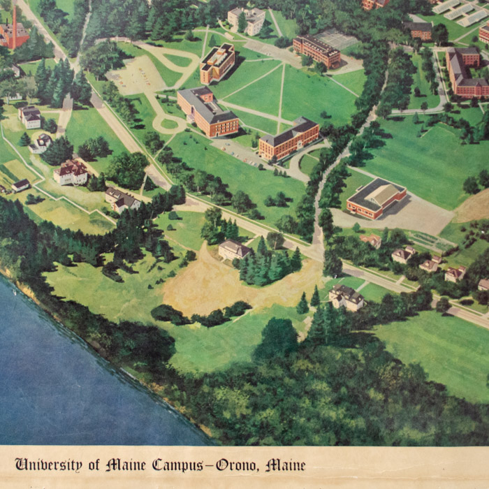 View, Maine, Orono, University of Maine Vintage Print, c. 1960s
