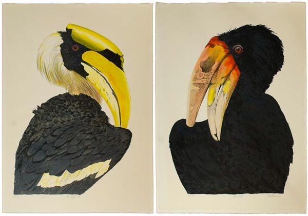 Blagden Hornbill Pair of Prints