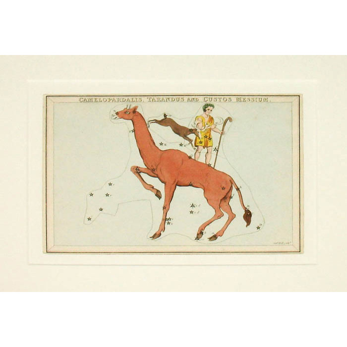 Camelopardalis, Tarandus, and Custos Blessium from Urania's Mirror