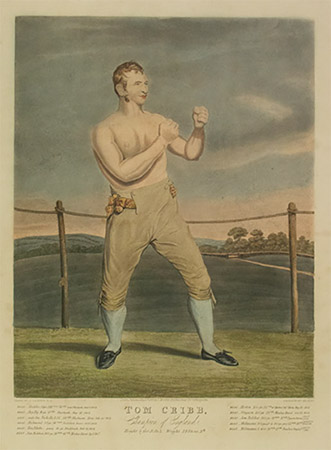 Tom Cribb, Champion Boxer