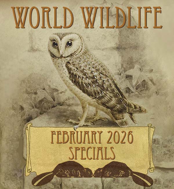World Wildlife, February 2026 Specials