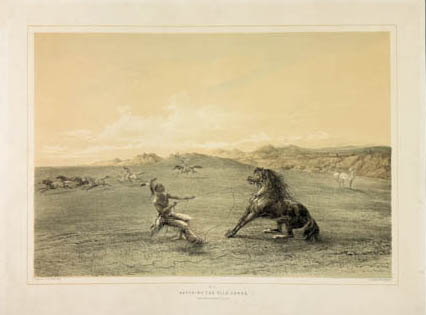 American Indian lassoing horse