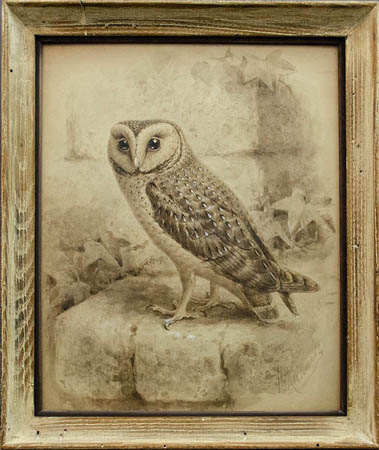 Owl on wall