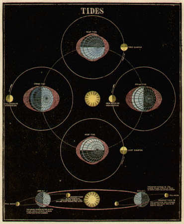 Diagram of astronomy and tides