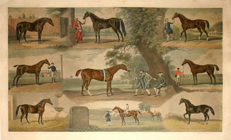 Fathers of the Turf horse print